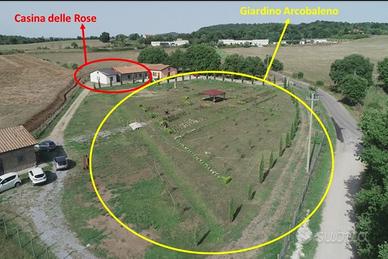 Casa vacanze - Lago di Bolsena