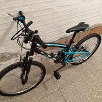 bicicletta