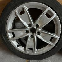 Cechi in lega audi