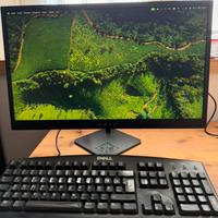 Monitor HP Omen 25
