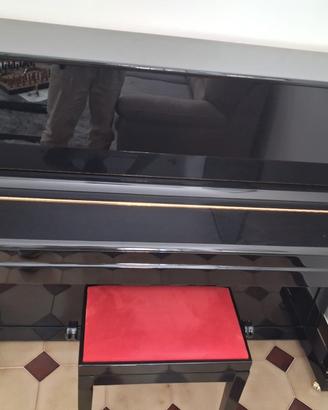 pianoforte BERLIN MAY 