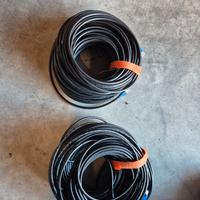 Cavi Ethernet 50m cat 6