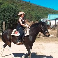 Groomer/animatrice equestre