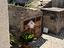 Immagine 9