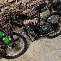 Bicicletta 110cc