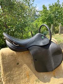 Sella inglese Appaloosa da ippoterapia