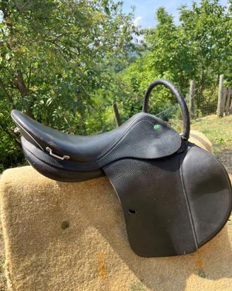 Sella inglese Appaloosa da ippoterapia