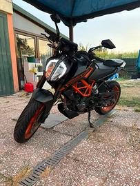 DUKE 125 2022