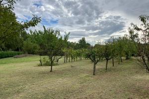 Terreno agricolo a Magione (PG)