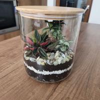 Terrario