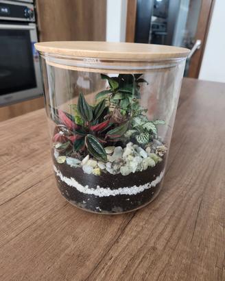 Terrario