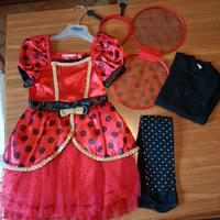 Carnevale coccinella 