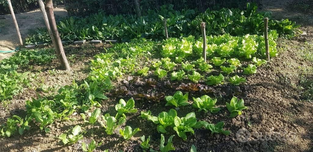 Terreno di 700 m² a Montespertoli - Altro