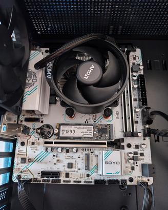 Scheda madre B550m, Ryzen 5 3600, SSD 240GB