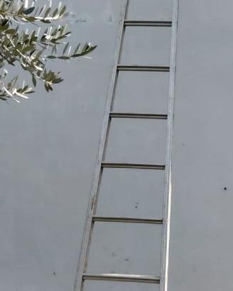 Scala da potatura