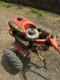 Motozappa BENASSI - Z600