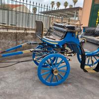 Carrozza Cavallo Tipo VITTORIA Polacca