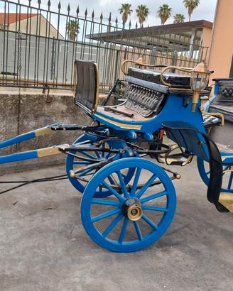Carrozza Cavallo Tipo VITTORIA Polacca