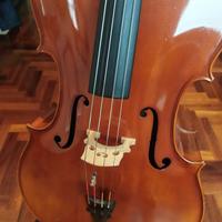 VIOLONCELLO 4/4 DA STUDIO STENTOR MD RIALTO UC 800