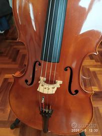 VIOLONCELLO 4/4 DA STUDIO STENTOR MD RIALTO UC 800