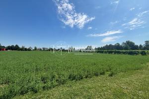 TERRENO AGRICOLO A SOLERA