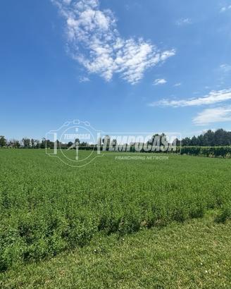 TERRENO AGRICOLO A SOLERA