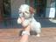 Immagine 1