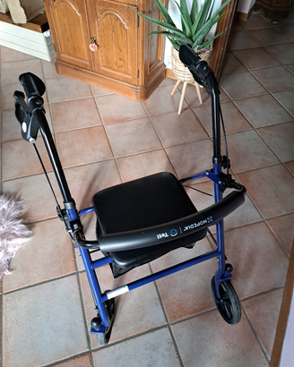 Deambulatore per esterno/interno