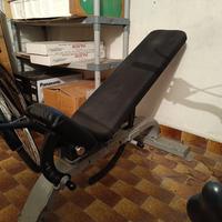 PANCA PALESTRA