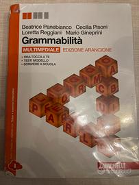 Grammabilità isbn 9788808157591