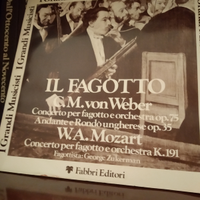 Enciclopedia della musica con dischi lp in vinile