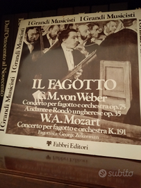 Enciclopedia della musica con dischi lp in vinile