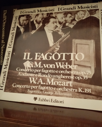 Enciclopedia della musica con dischi lp in vinile