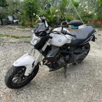 Benelli Bn302