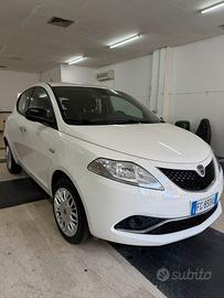 Lancia Ypsilon 1.3 Diesel 2017  Unico proprietario