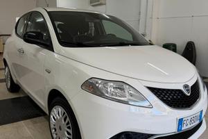 Lancia Ypsilon 1.3 Diesel 2017  Unico proprietario