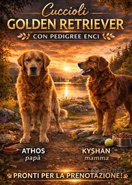 Golden retriever con pedigree ENCI cuccioli