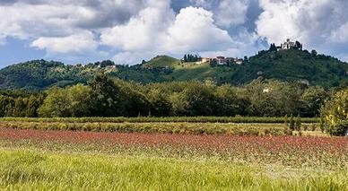 Agriturismo con vigneto a Montevecchia