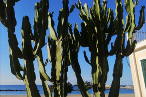 Sul mare casal velino