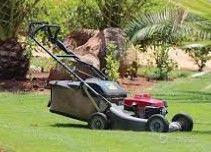 P o l l i c e   V e r d e