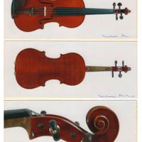 Violino