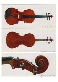 Violino