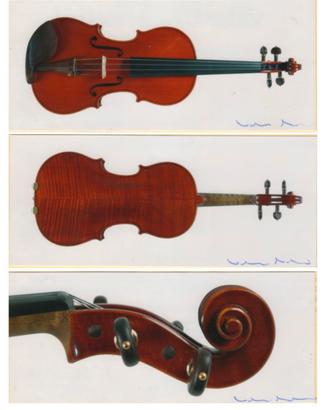 Violino