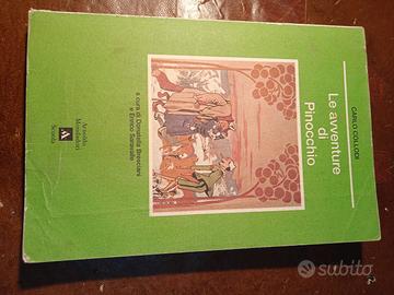 libro le avventure di pinocchio.