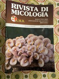 Raccolta Rivista di Micologia A.M.B. per esperti