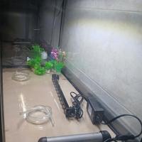 Acquario 80 litri