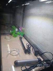 Acquario 80 litri