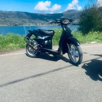 Scarabeo nero