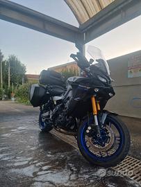 Tracer 9 gt