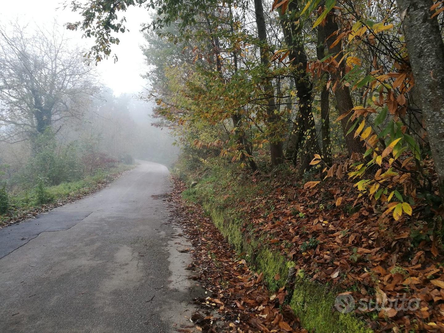 A pochi minuti dall'uscita av-est - Vista 4